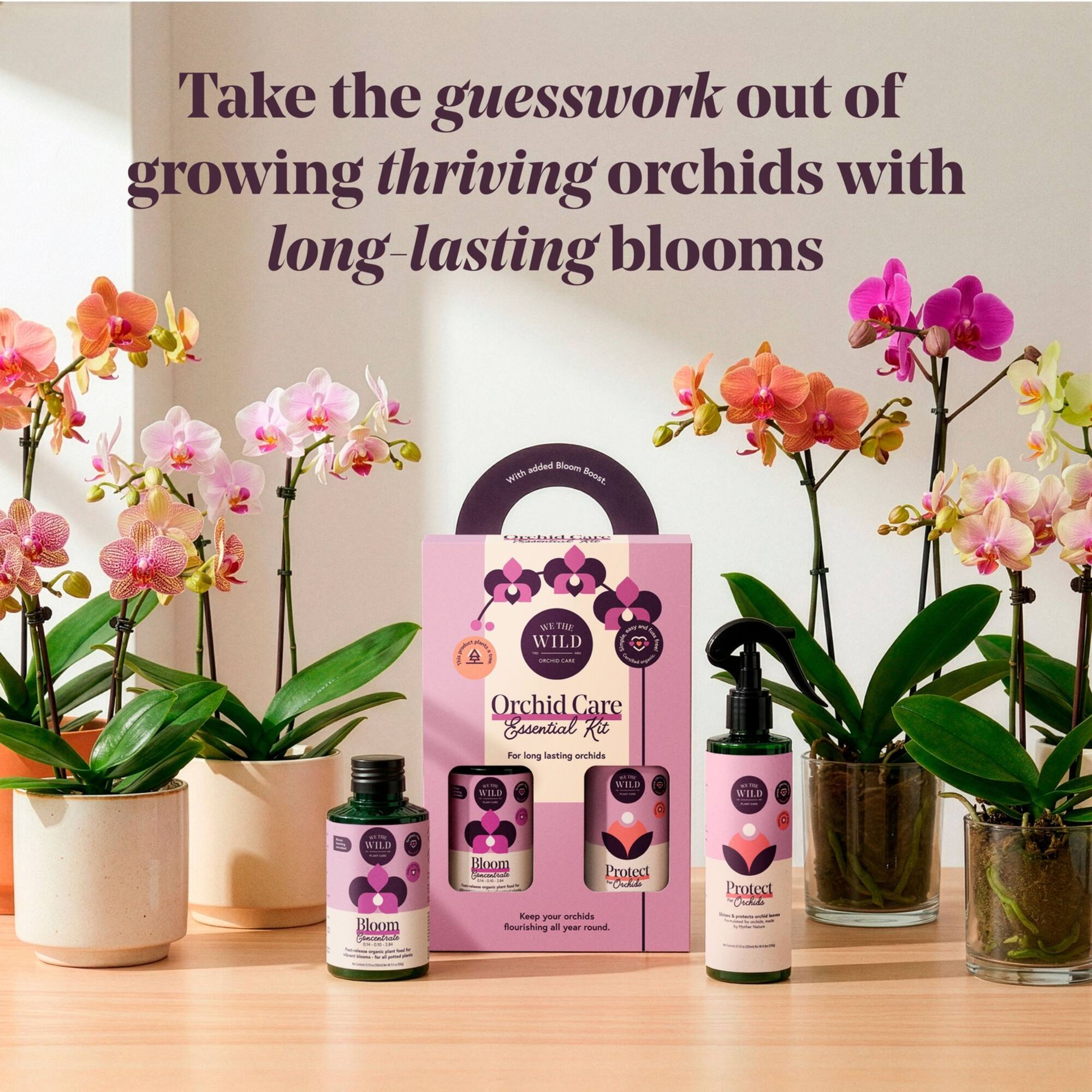 We The Wild™ Orchid Care Essentials Kit
